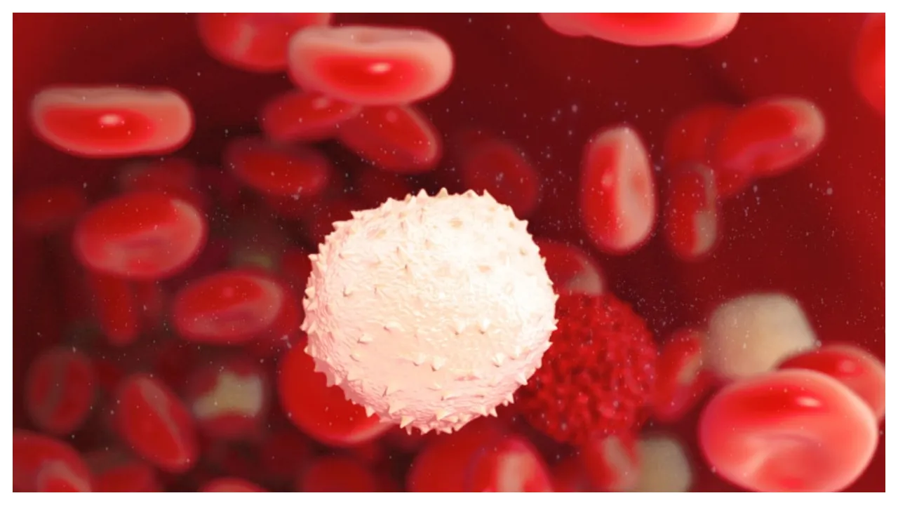 Body's Natural Defence Turns Tumour Promoter Under Inflammation: Study