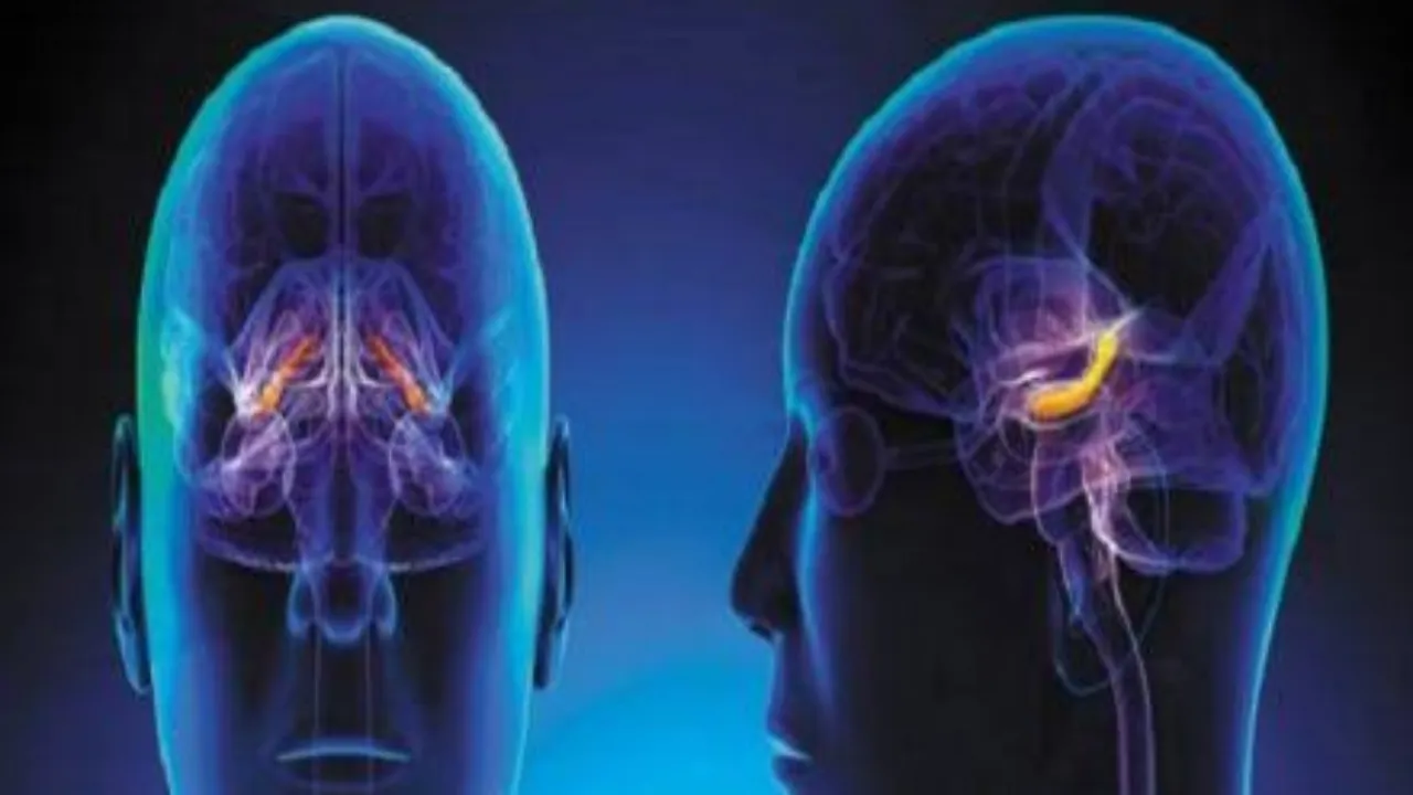 Blue Light May Help Heal Mild Traumatic Brain Injury, Says Study