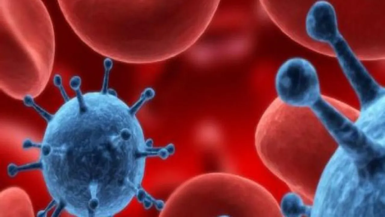 Coronavirus In China Kills 9, What We Know So Far?