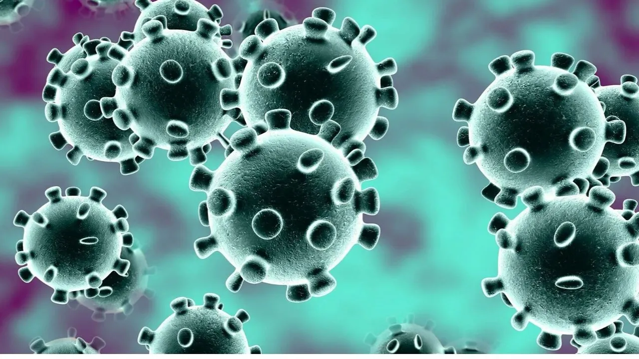 Coronavirus: 2 Under Watch In Mumbai, Special Ward Comes Up At Chinchpokali Hospital 