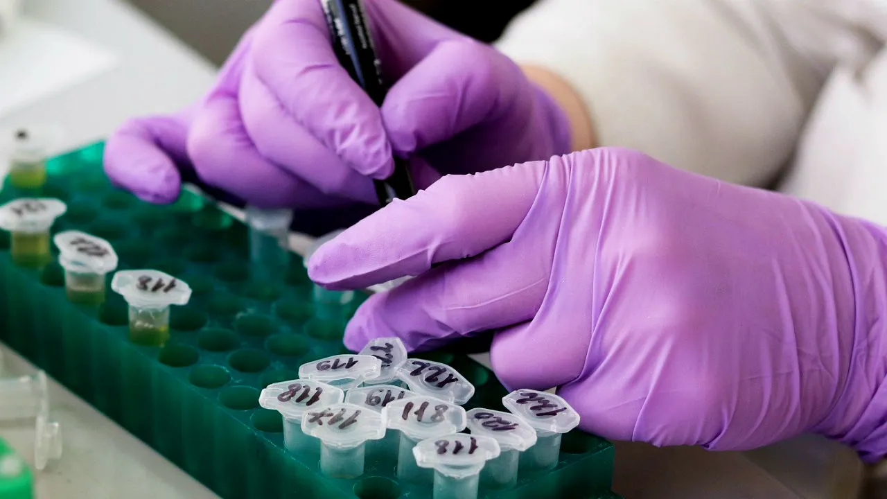 Coronavirus: 11 Indians Under Watch In Hospitals, More Than 80 Being Medically Observed