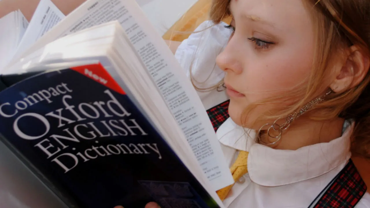 Aadhaar, Dabba, Hartal, Shaadi: 26 New Indian-English Words Make It To Oxford Dictionary