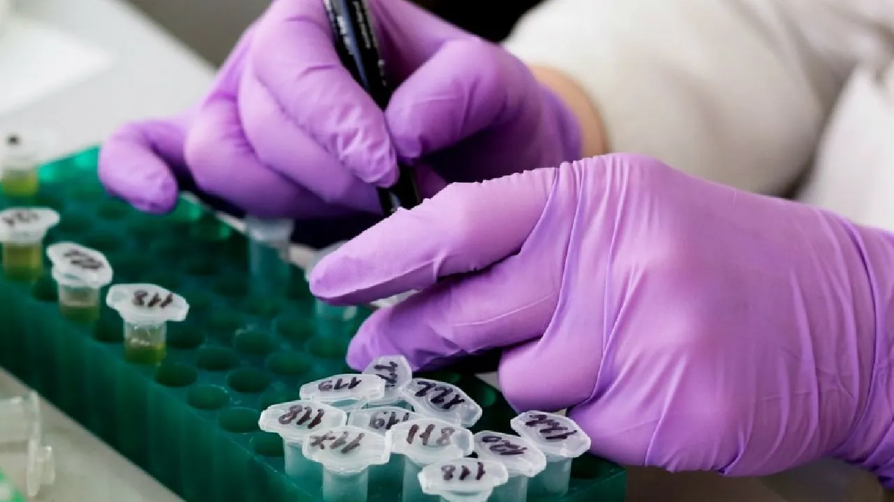 Seven More Under Observation For Coronavirus Exposure In India: Government