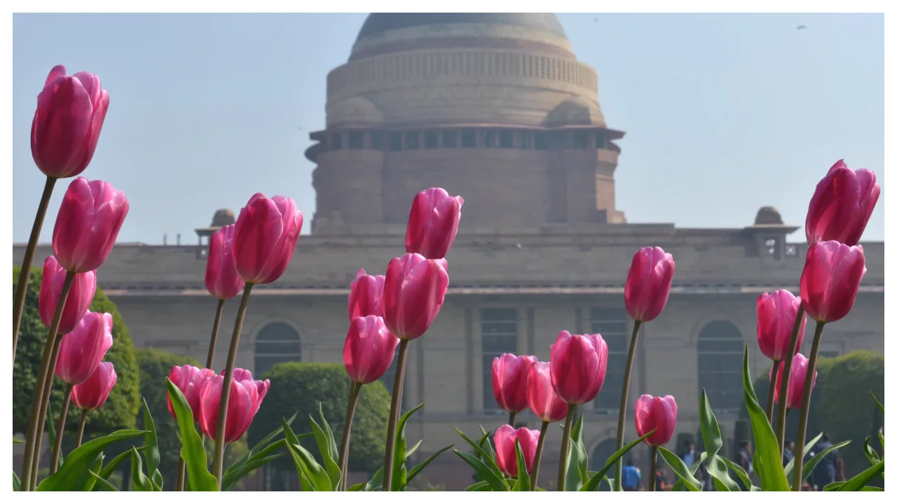 Mughal Garden To Open From Feb 5