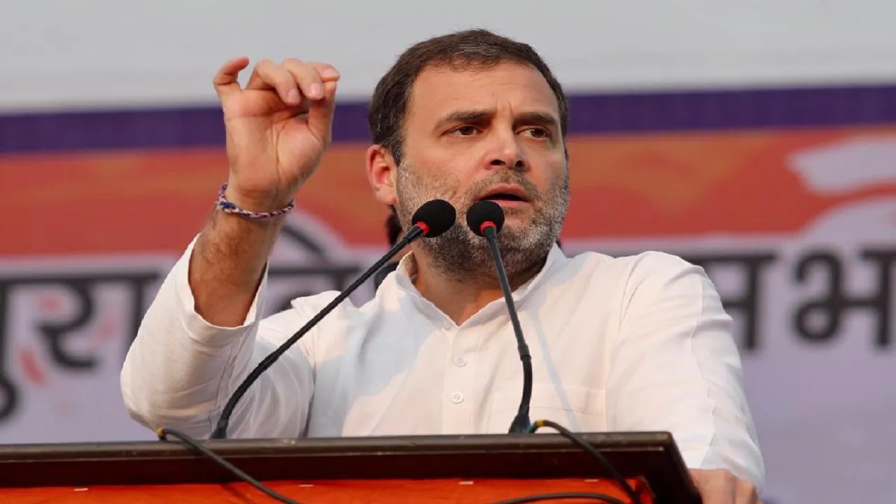 Rahul Gandhi At Delhi Election Rally