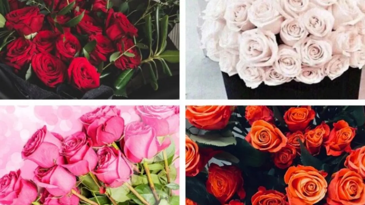 Rose Day