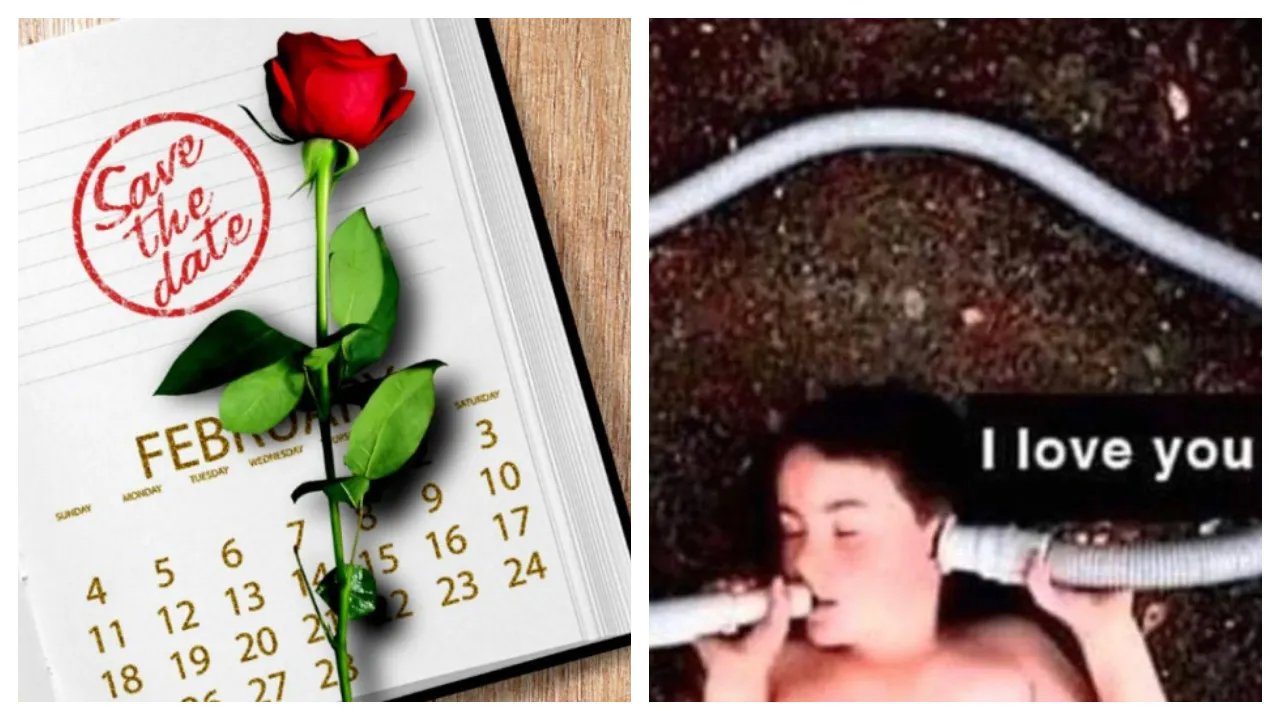 Valentineâ€™s meme for singles
