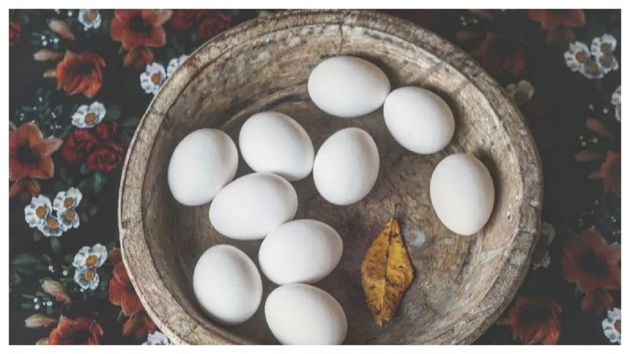 eggs