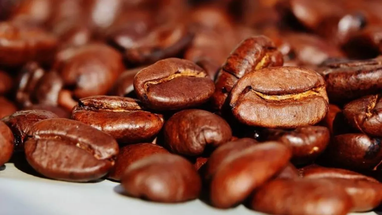 Caffeine Study