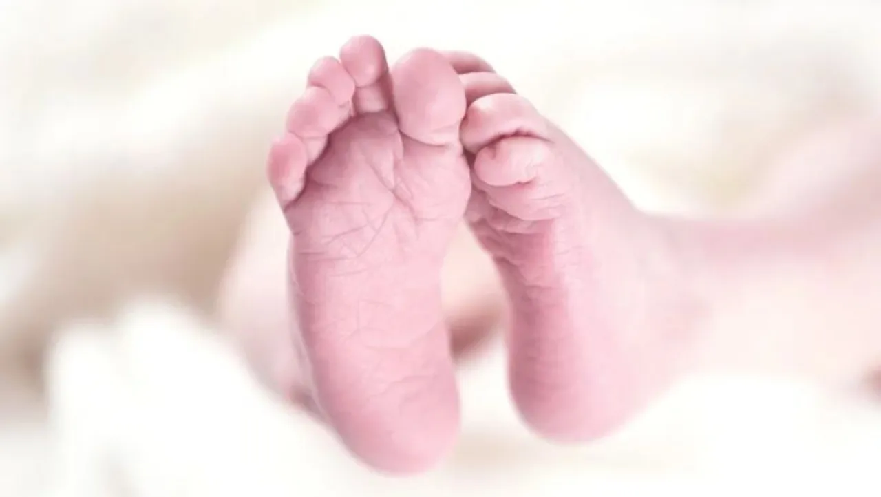 Baby coronavirus