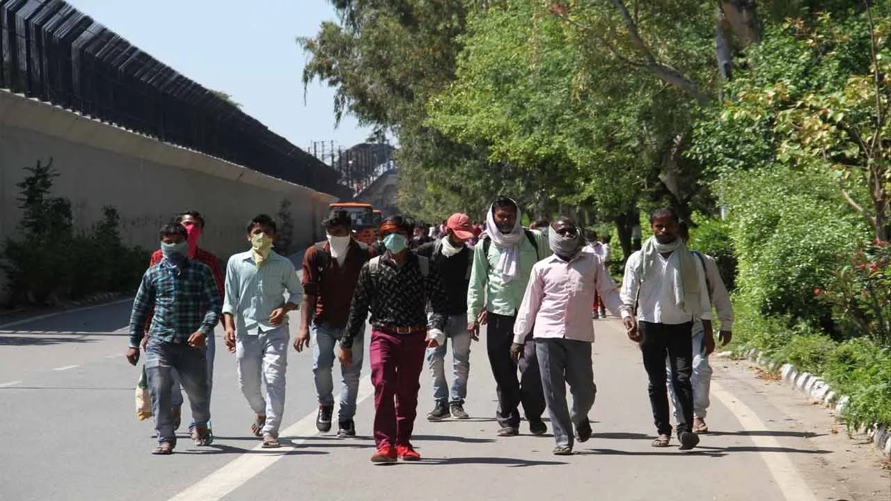 migrant workers