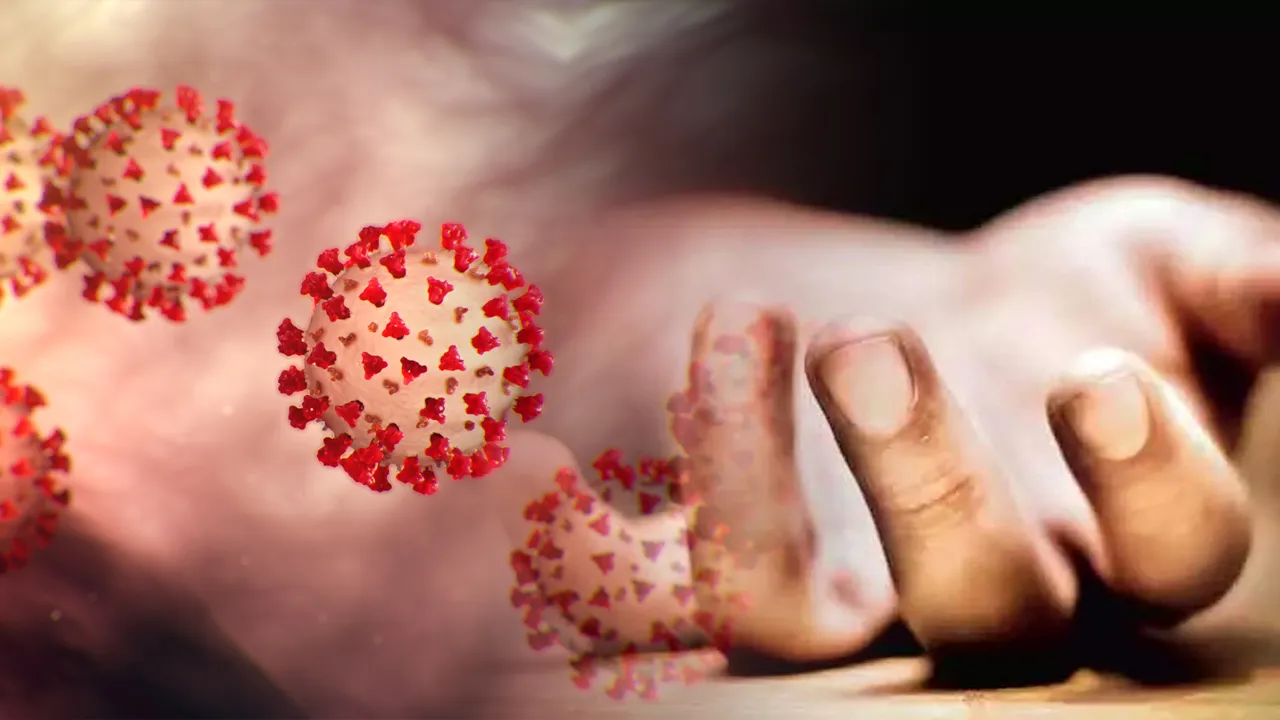 Corona Virus