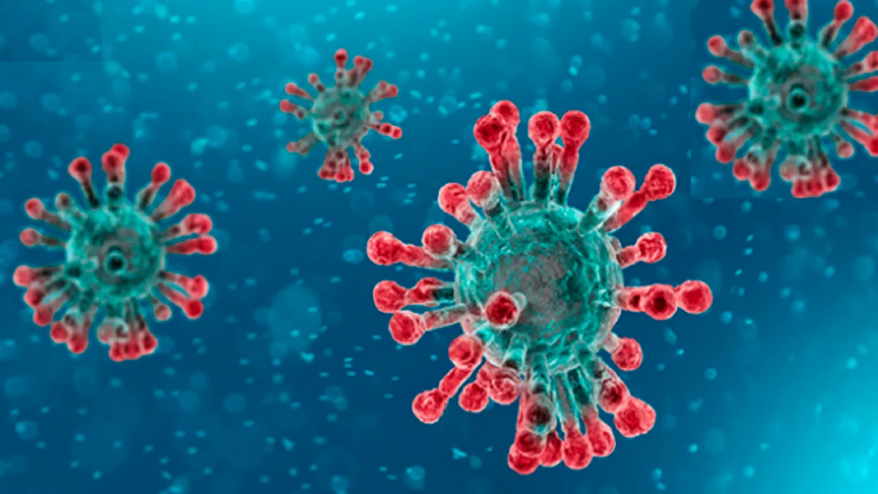 Corona Virus