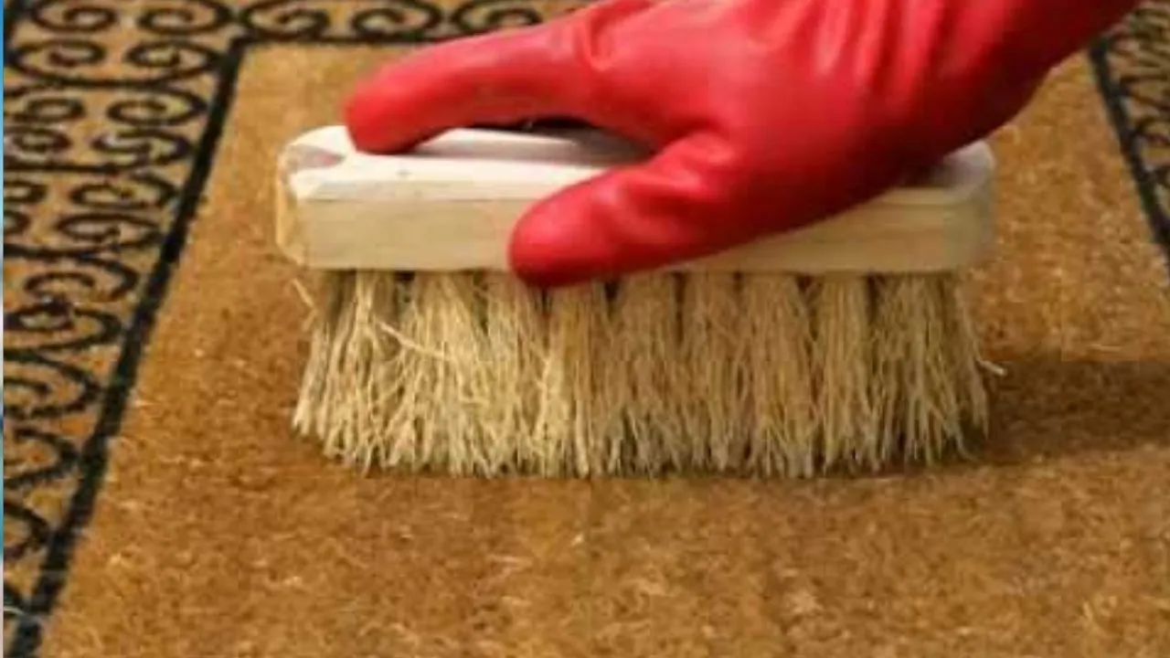 doormat cleaning 1