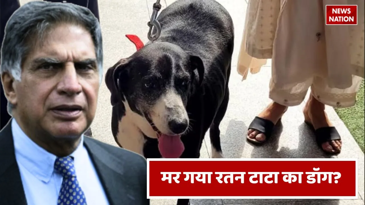 RATAN TATA DOG DIED (1)