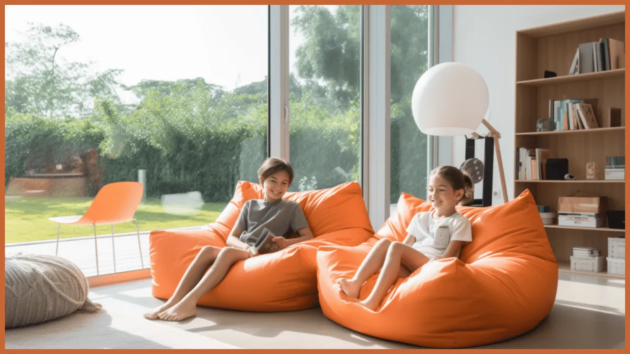 Bean Bag For Home