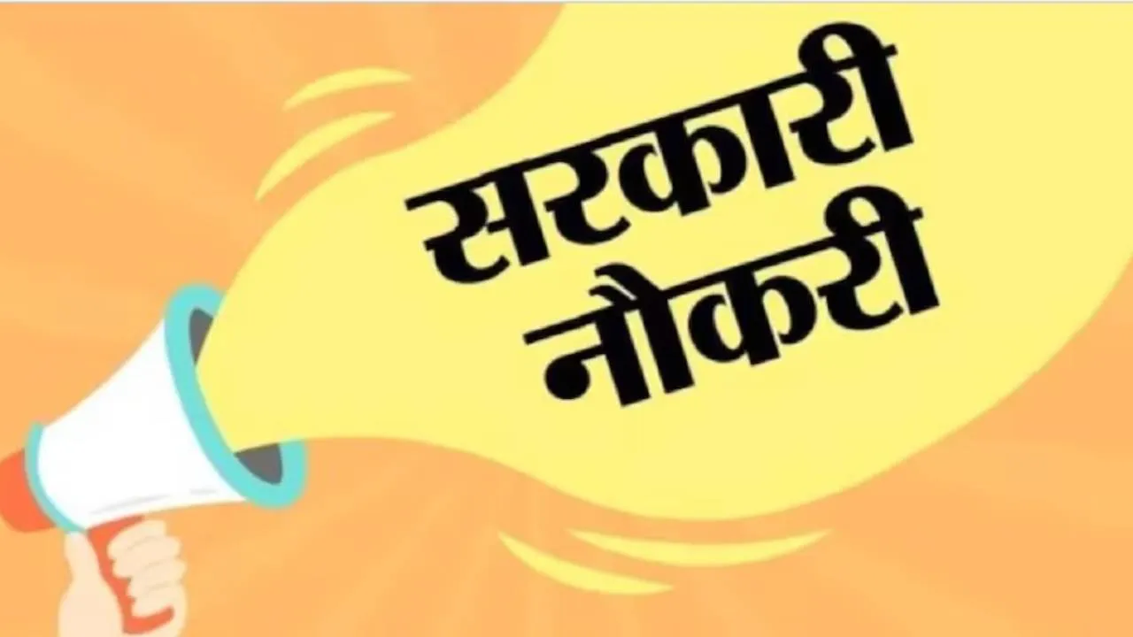 Sarkari Naukri (2)