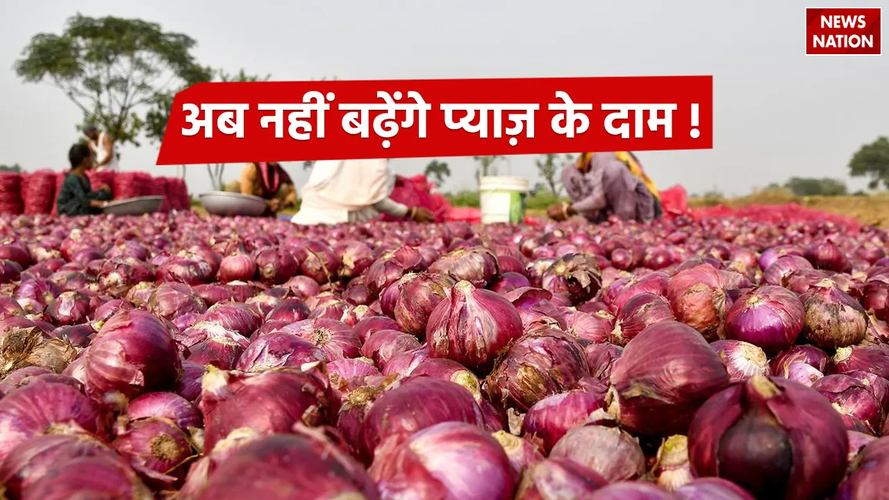 onion-price (2)