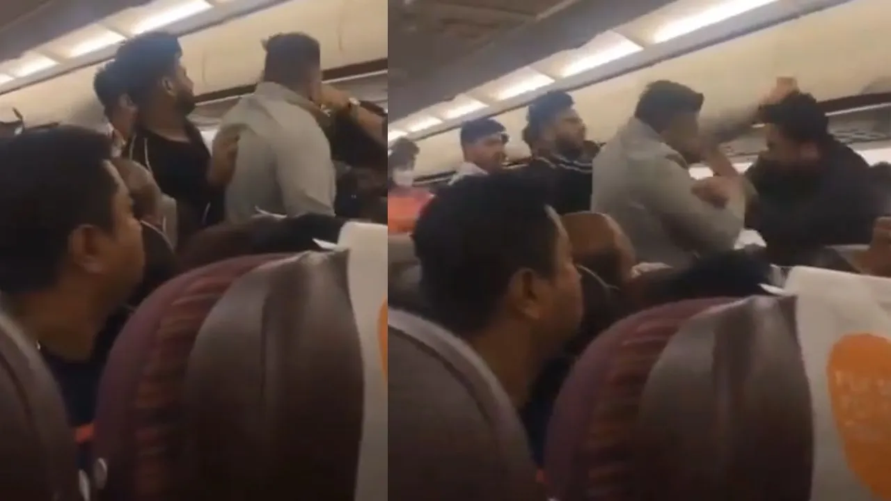 fight in flight viral video