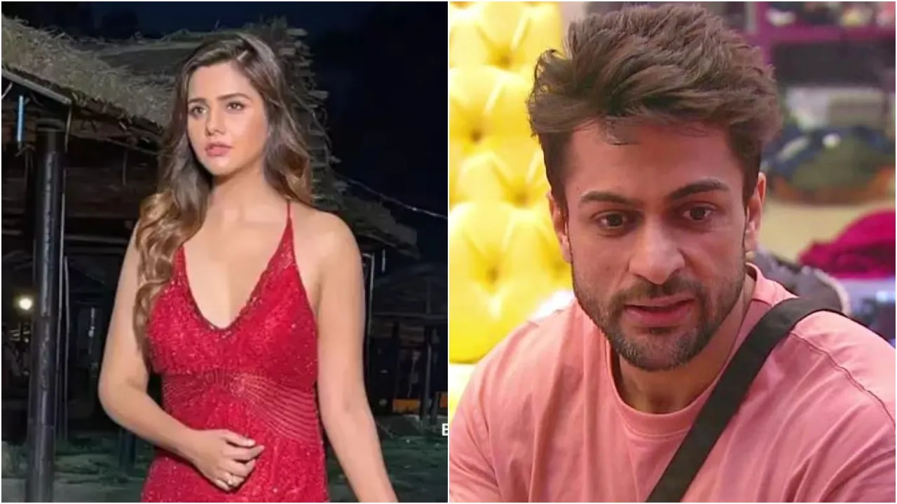 Dalljiet Kaur angry on shalin bhanot