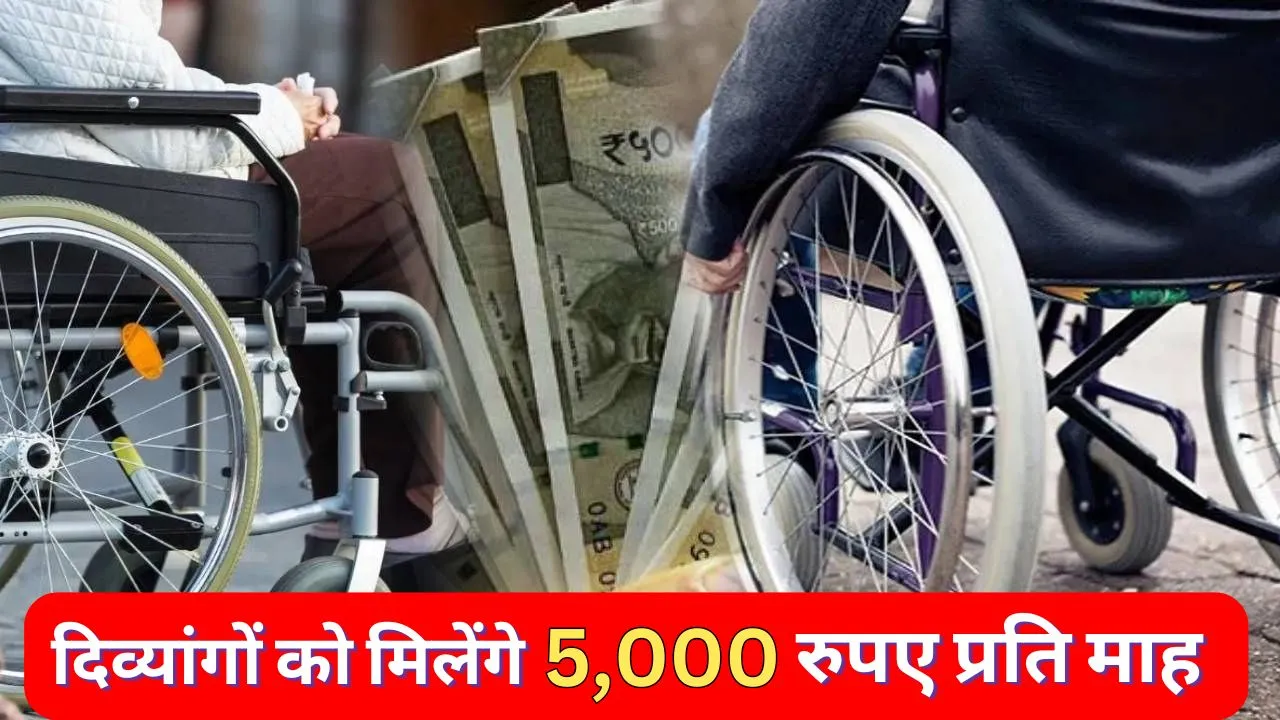 AAP Government 