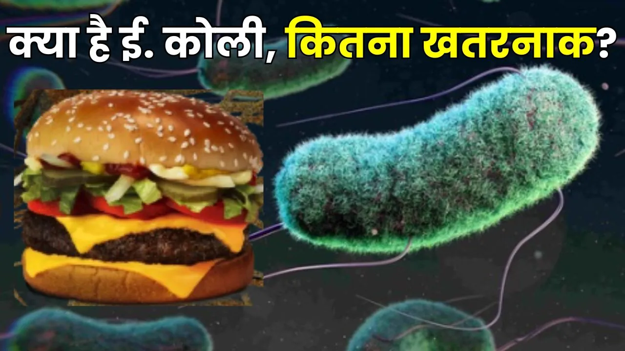 mcdonald's e coli