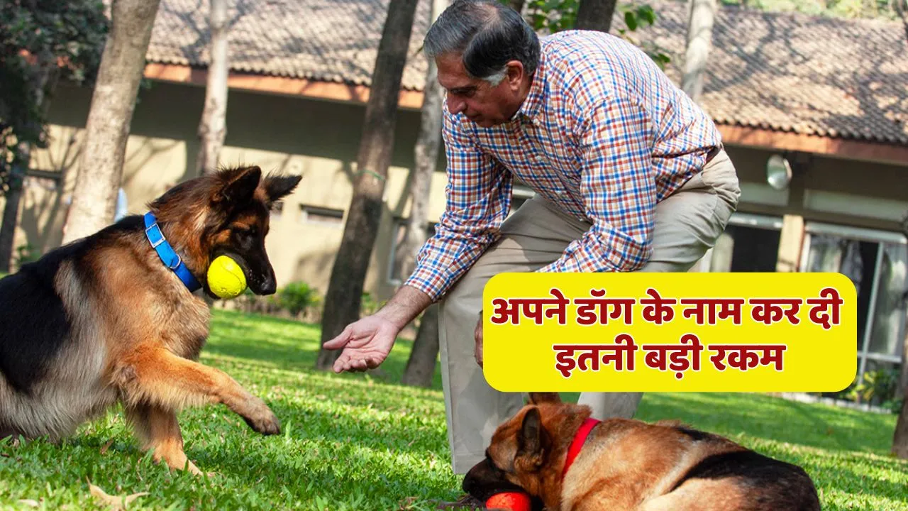 Ratan Tata will For Don Tito