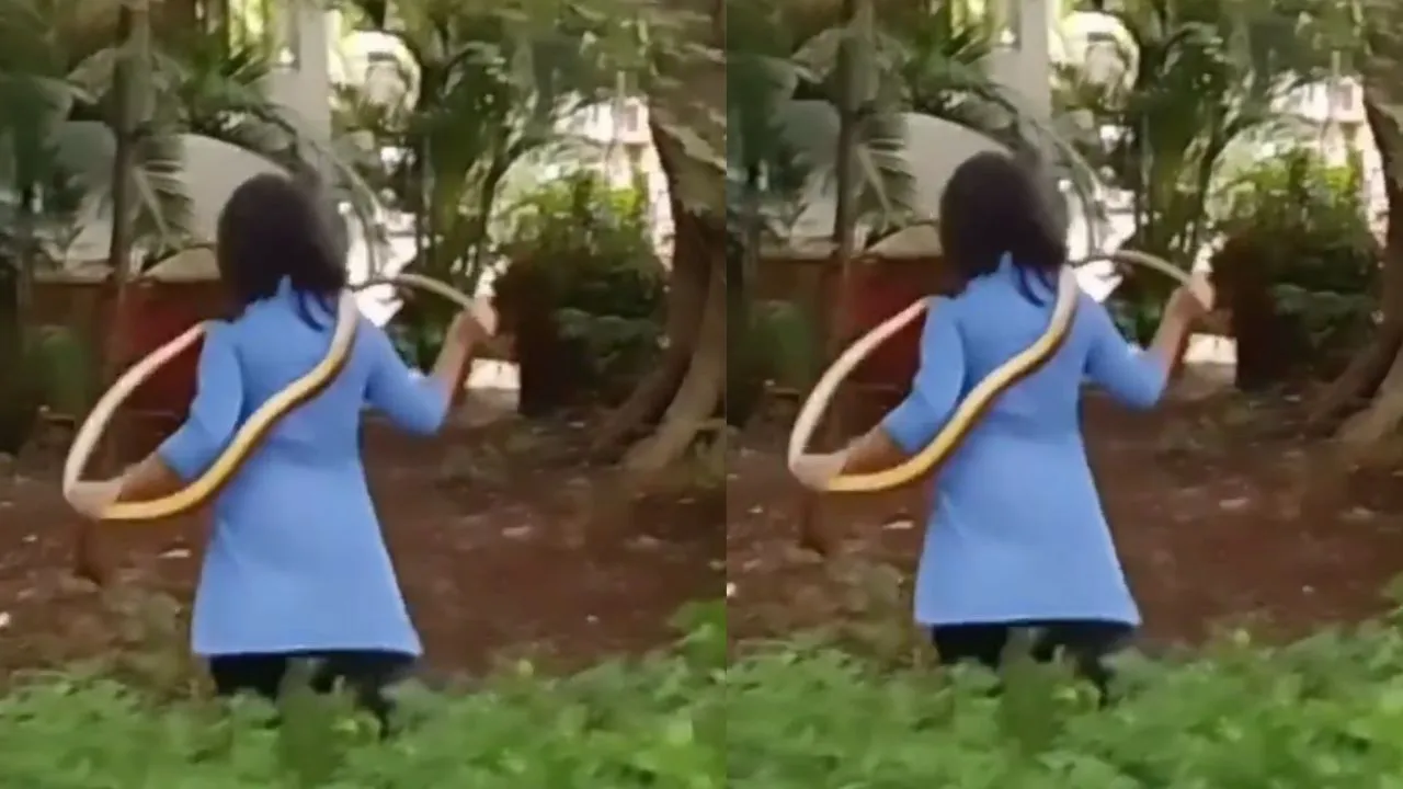 viral snake video22