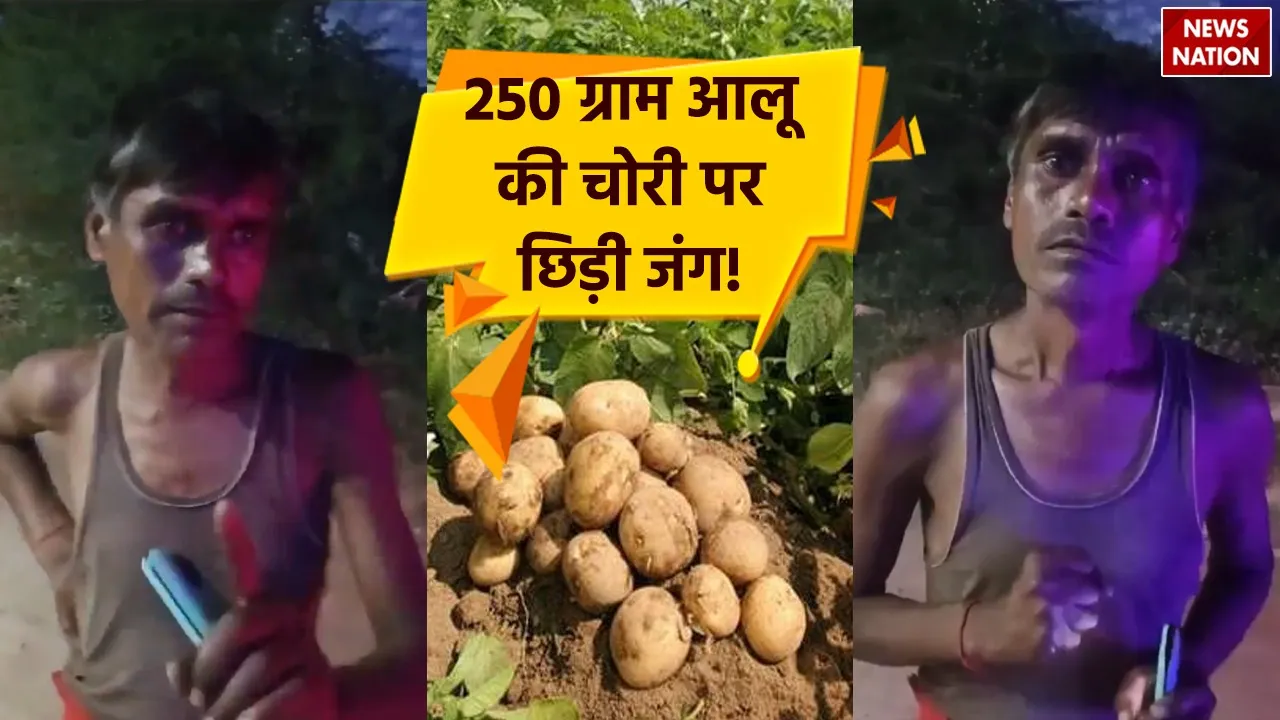250 grams of potatoes were stolen
