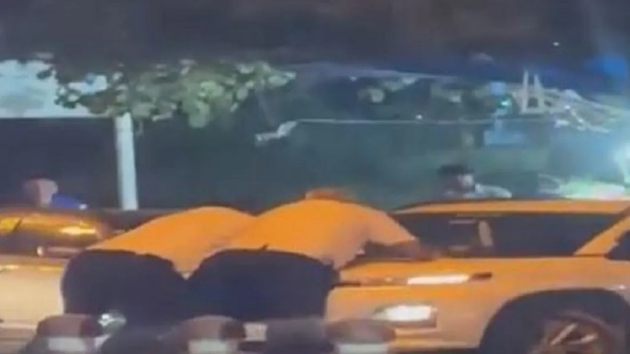 traffic police