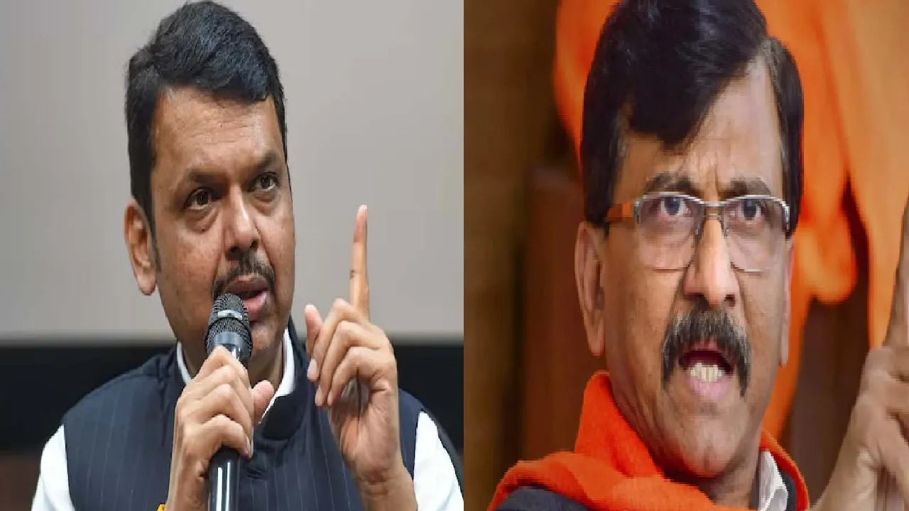 FADNAVIS AND RAUT