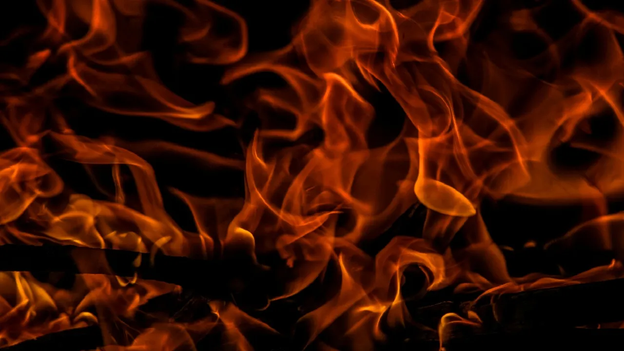 kriti nagar fire