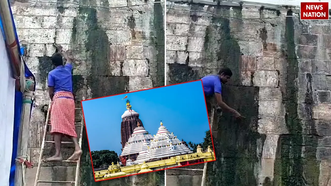 Meghnad Pacheri