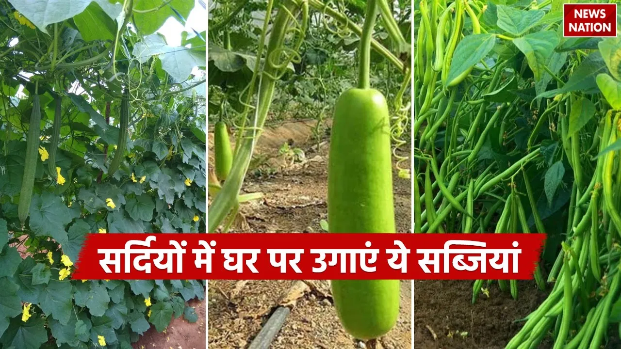 WhatsApp Image 2024-11-11 at 2.57.41 PM