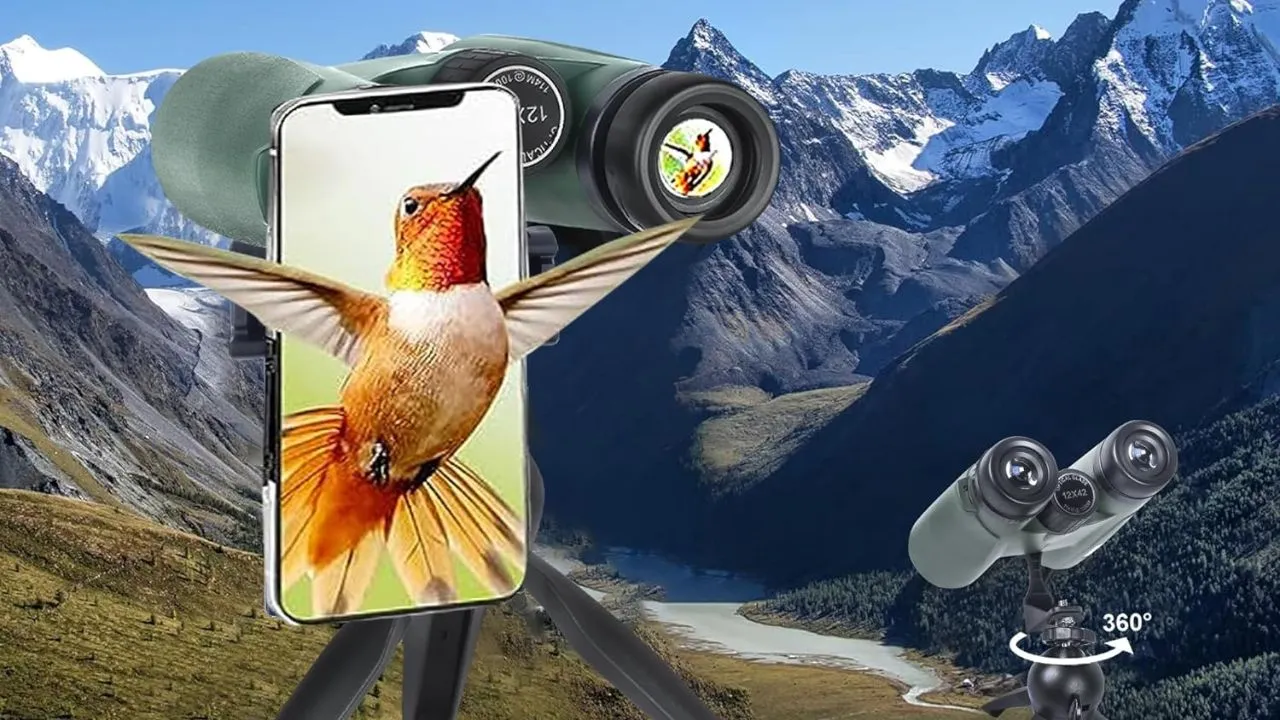  Best Binoculars In 2024