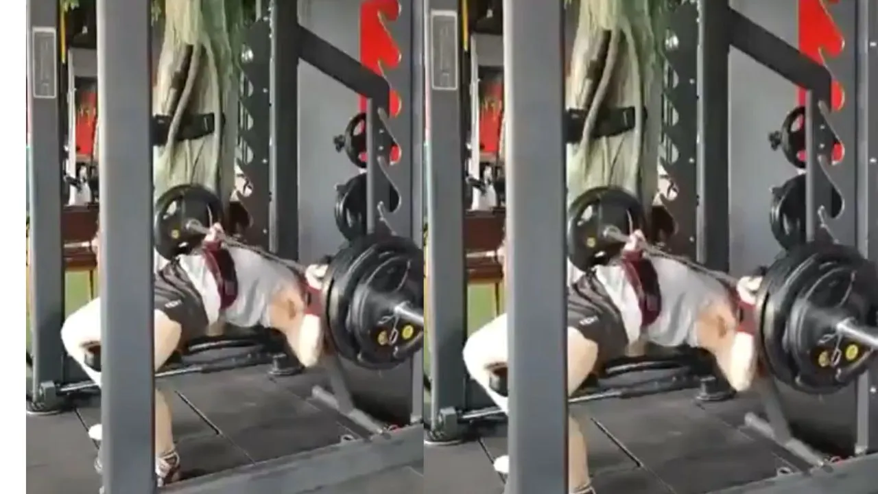 gym video