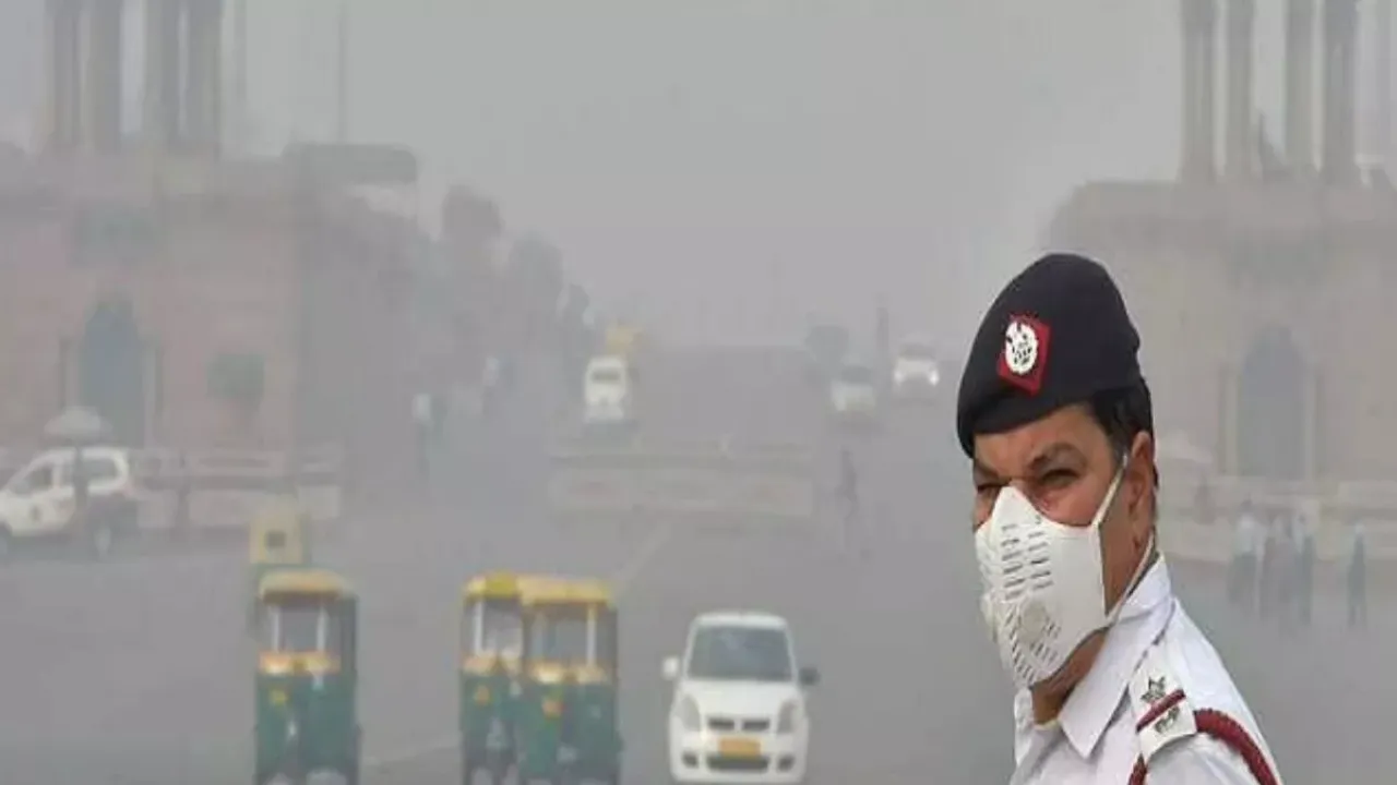 Delhi Grap 3