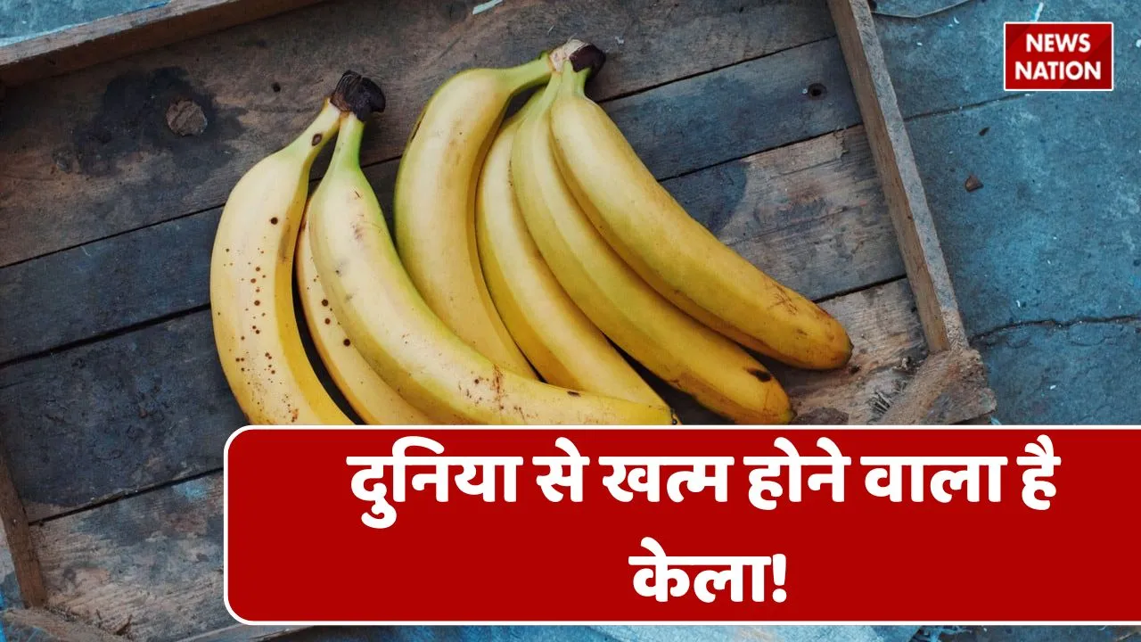 banana crisis