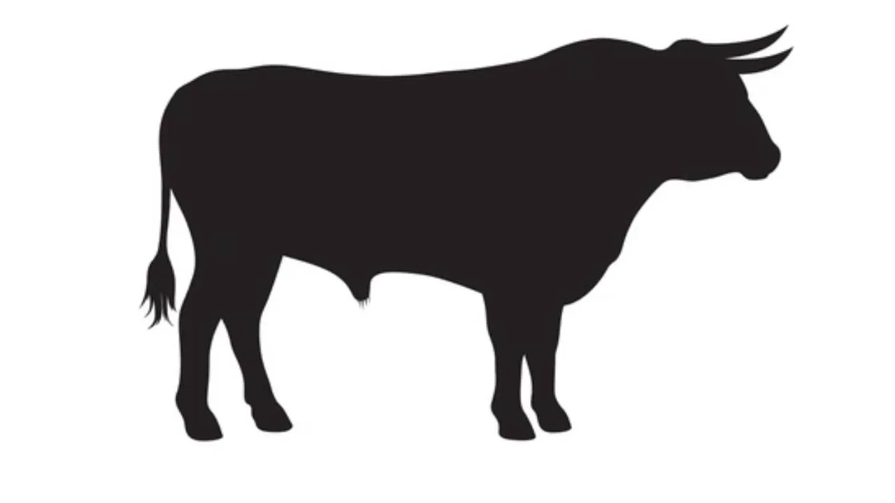 amreli nandi