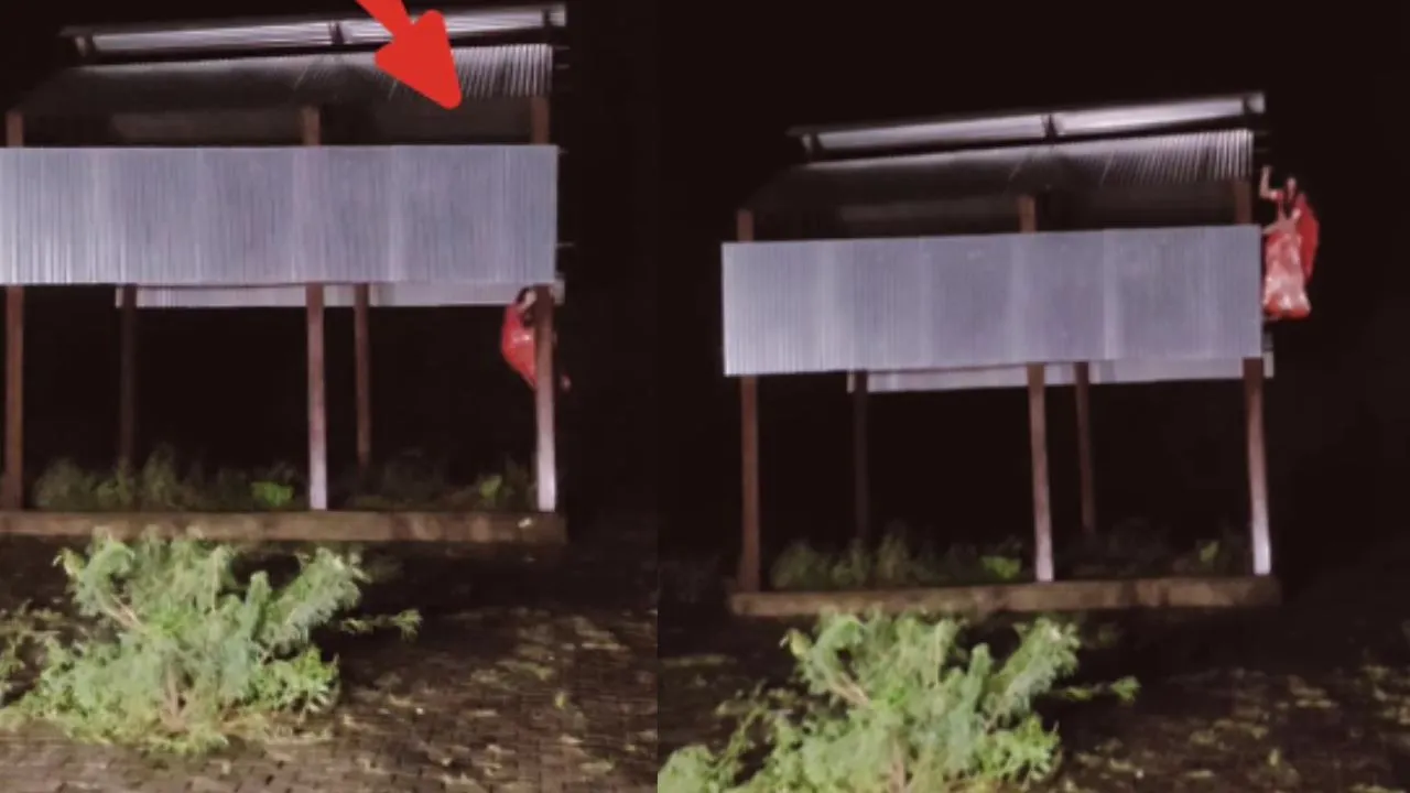 ghost viral video11