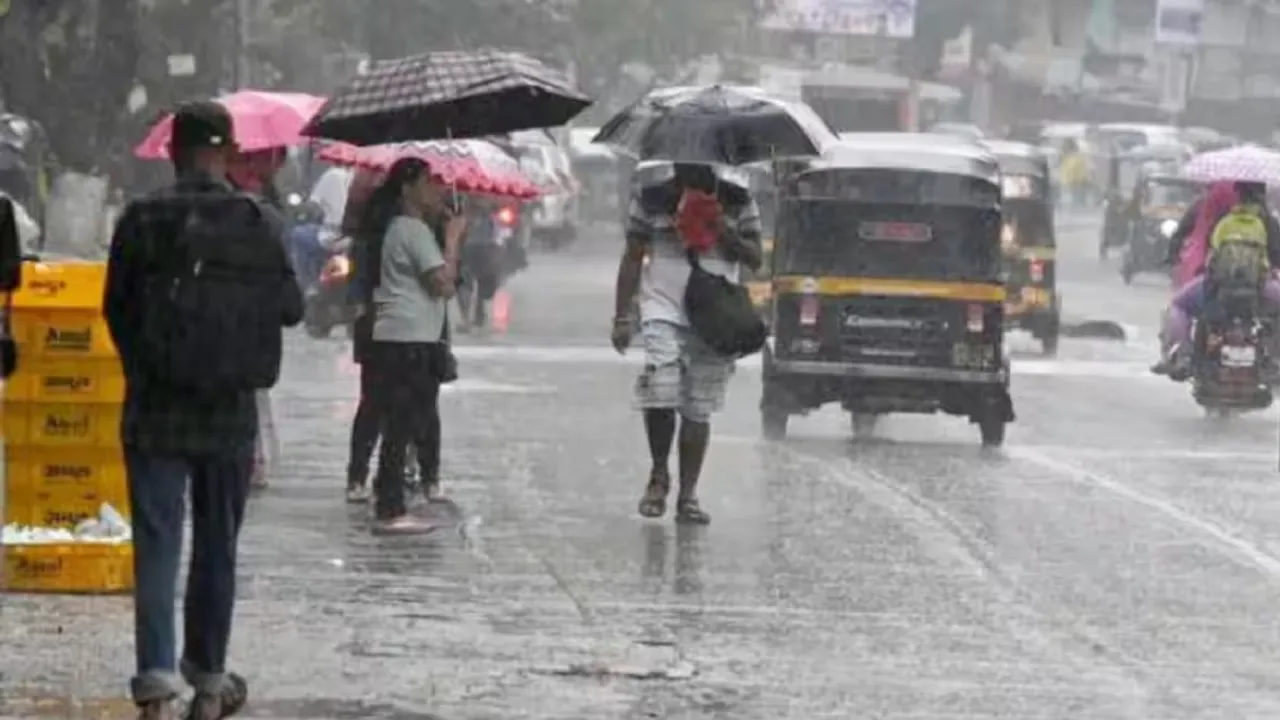 Rain Alert 17 November
