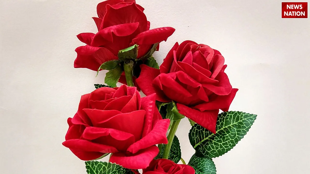 WhatsApp Image 2024-11-18 at 5.56.13 PM (1)