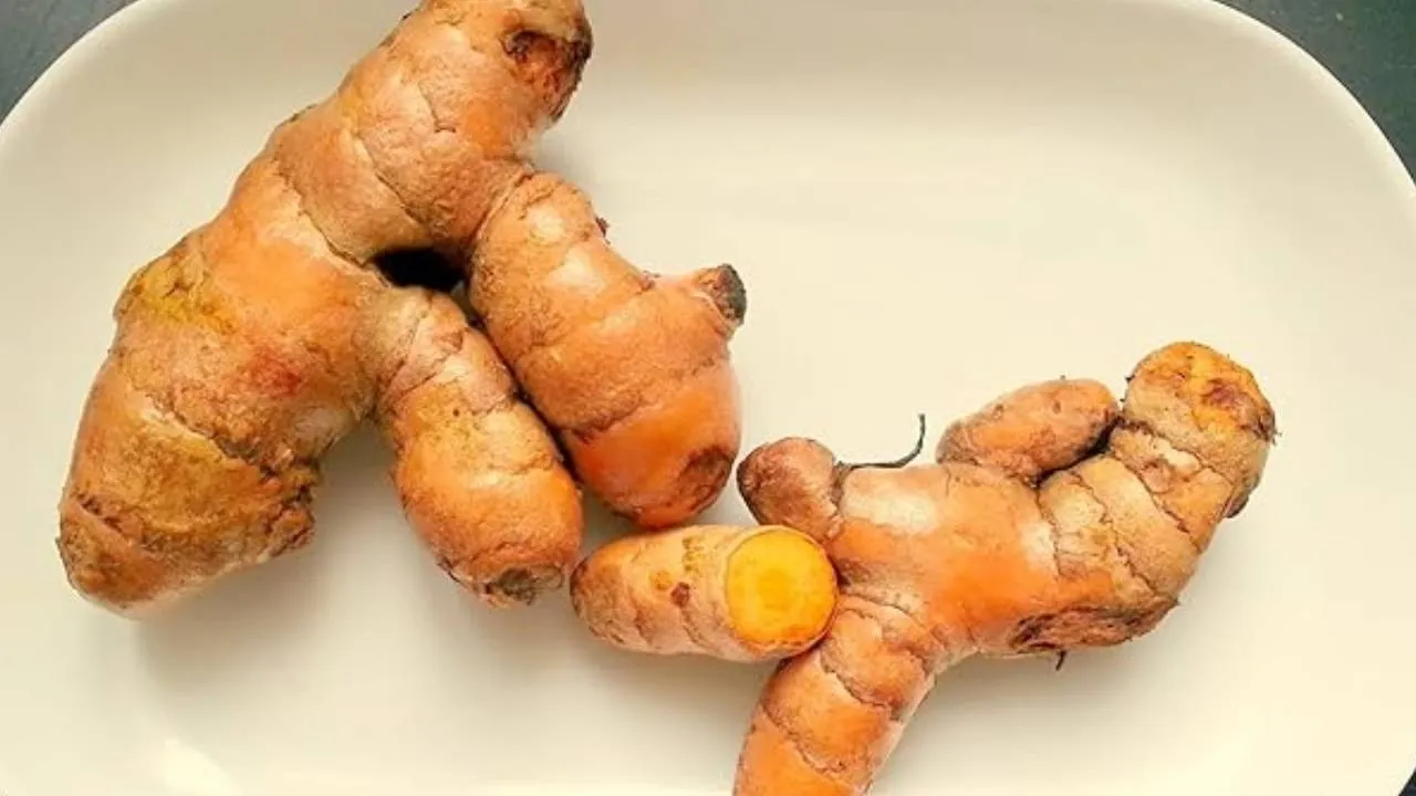 use of turmeric