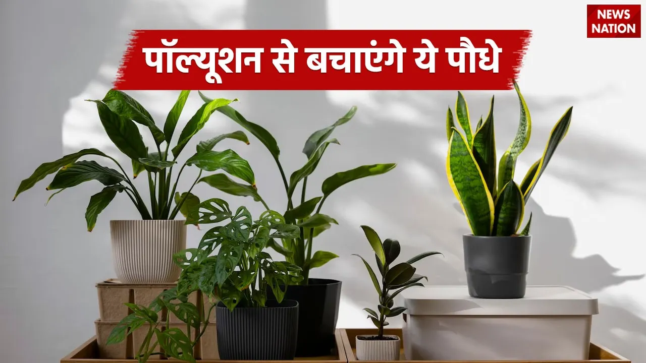 WhatsApp Image 2024-11-20 at 2.59.33 PM