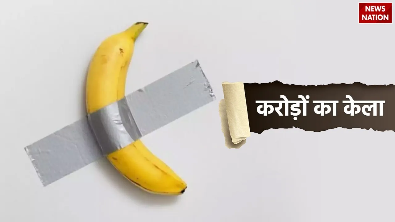 Most expensive banana