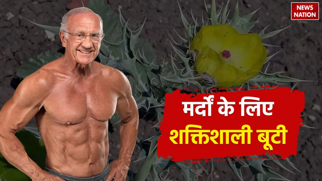 WhatsApp Image 2024-11-23 at 12.58.54 PM (1)