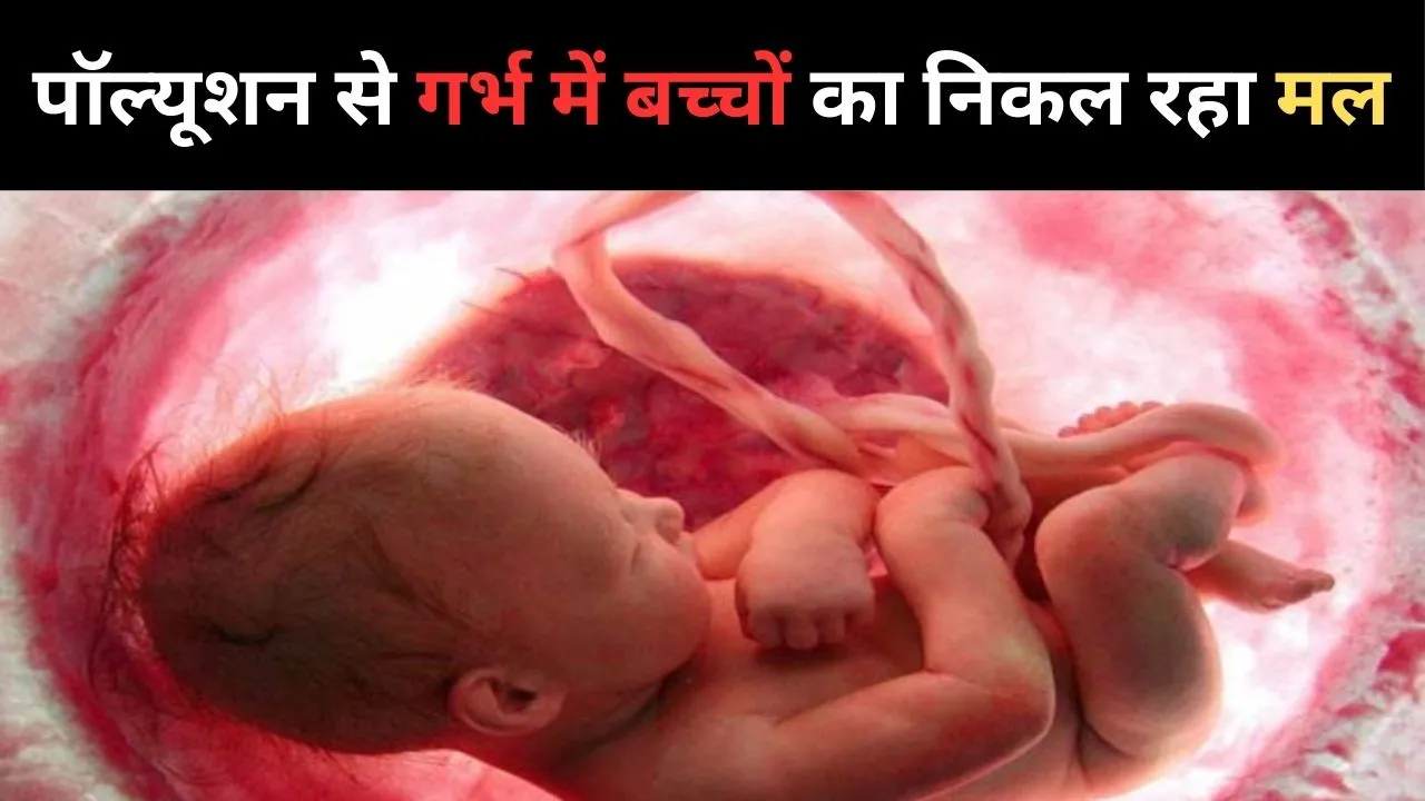 Pregnancy and air pollution
