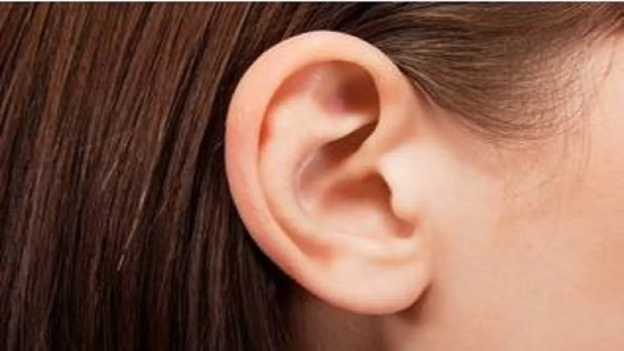 ear buds