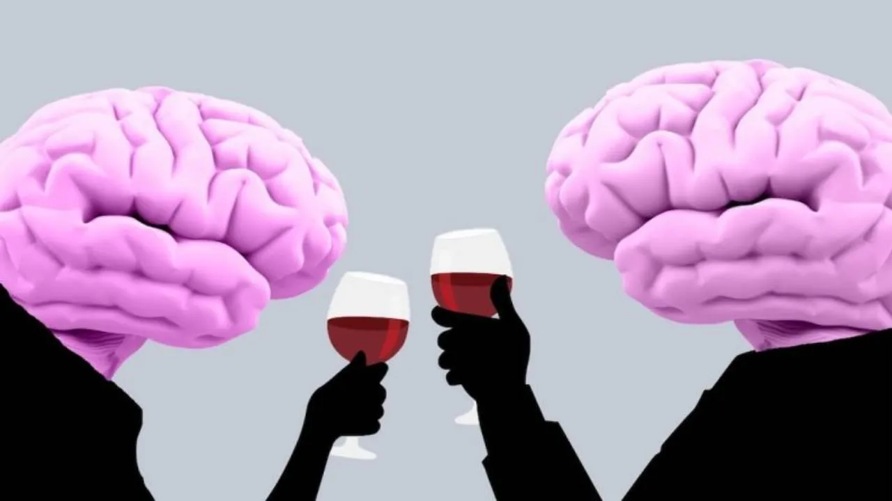 what is Sapiosexual