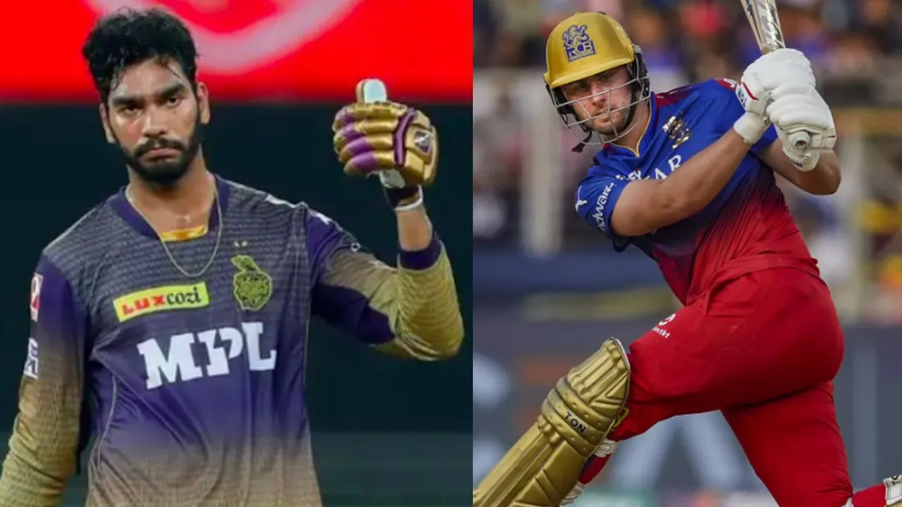 IPL 2025 mega auction
